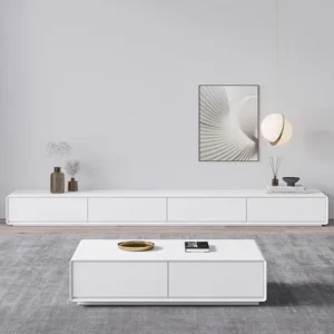 Minimalist Salon Console Coffee Table