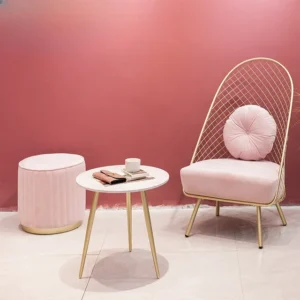 Sylviya Velvet Accent Chair with Cushion