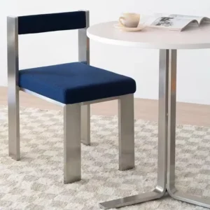Contemporary Stainless Steel Dining Chair